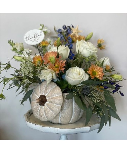 Coastal Pumpkin 