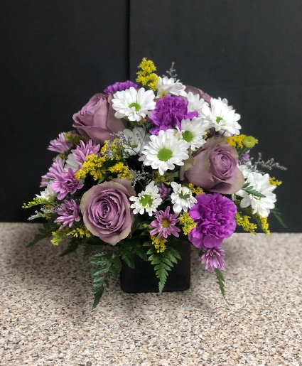 Color Me Purple 