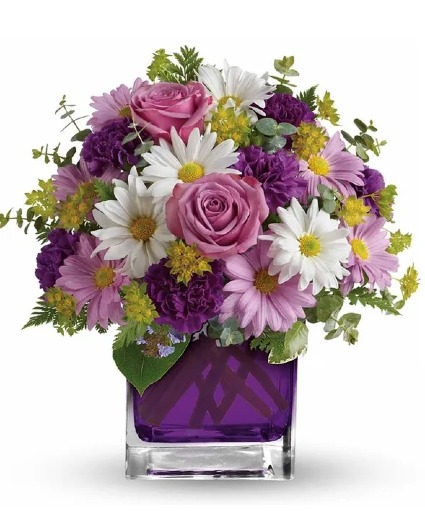 Color Me Purple  