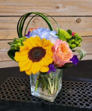 Color Splash Cube Fresh Arrangement