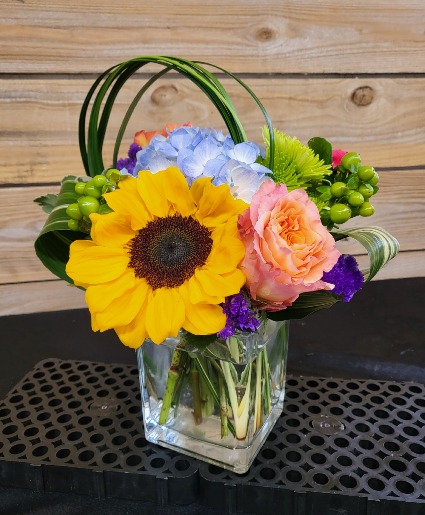 Color Splash Cube Fresh Arrangement