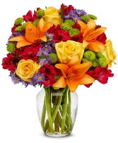 COLOR SPLASH Vase Arrangement
