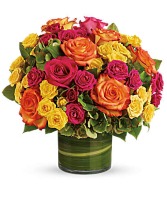 colorful Arrangement 