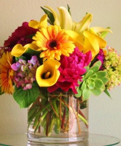 Sunshine Garden Celebration 