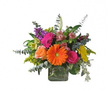 Cube - Colorful Beauty Arrangement in cube
