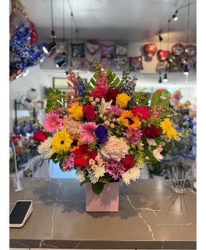 Colorful blooms 