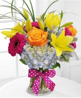 Colorful Blooms 