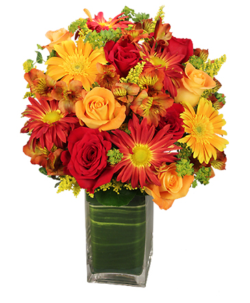 Colorful Canvas Arrangement in Apopka, FL | APOPKA FLORIST