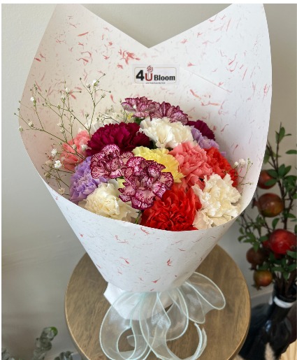 Colorful Carnations 