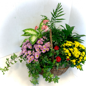 Colorful Flowering Dish Garden  in Derby, CT | THE PETAL PUSHER FLORIST