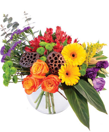 Colorful Essence Floral Arrangement in Darien, CT | DARIEN FLOWERS