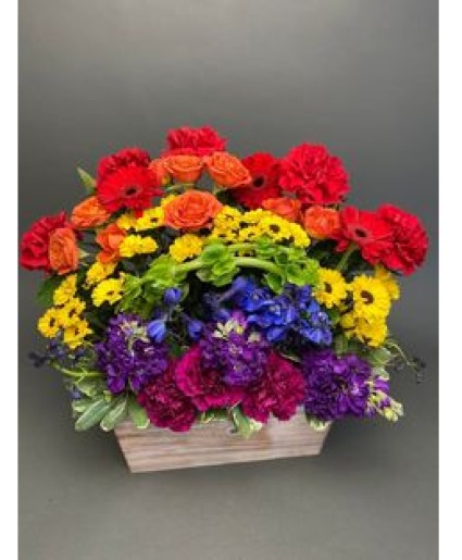 Colorful Love 