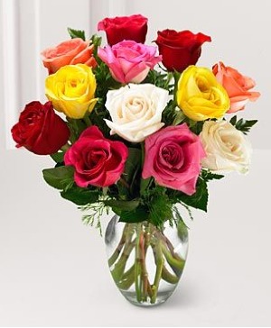 Colorful Mix Dozen Roses 