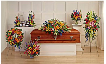 Colorful Reflections Collection  in Winnipeg, MB | MYRA ROSE FLORIST