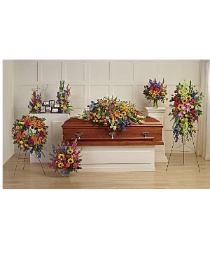 Colorful Reflections Collection Teleflora