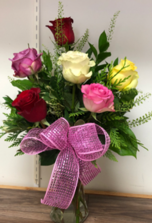 Half Dozen Colored Roses Fresh Flowers