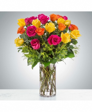 Colorful roses 
