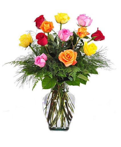 Colorful Roses  