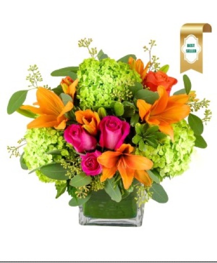 Colorful Sorbet fresh arrangement