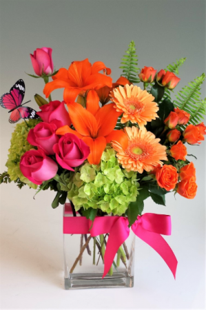 Colorful Spring 