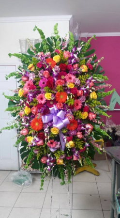 Colorful Standing Spray 