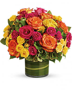 Colorful Vase 