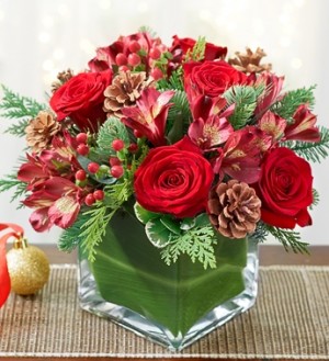 Roma Florist COLORS OF CHRISTMAS 