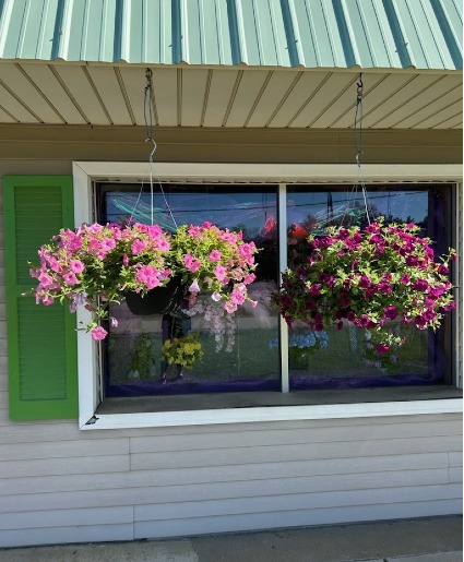 Combination Hanging Plants  Hanging Plants 