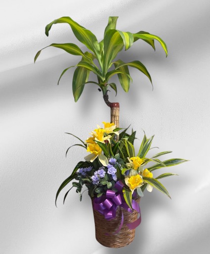 Combination Planter Green Plant
