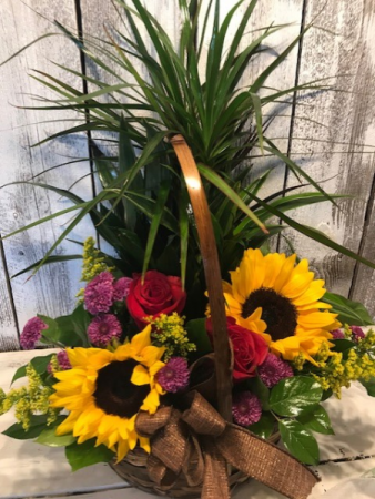 combo any plant/flowers any plant/ fall combo flowers