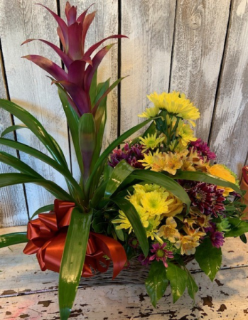 combo plant/ and floral garden assported  seasonal