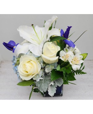 Comfort and Light Cube Arrangement