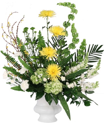 Comforting Memory Sympathy Urn in Philadelphia, PA | QA Test Account