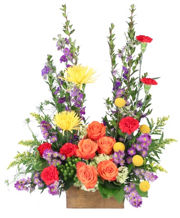 Compassionate Colors Sympathy Flowers in Albany, NY | Ambiance Florals & Events