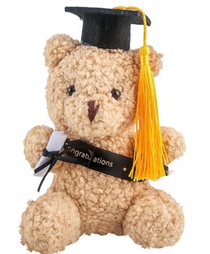 Congratulations Grad Bear 