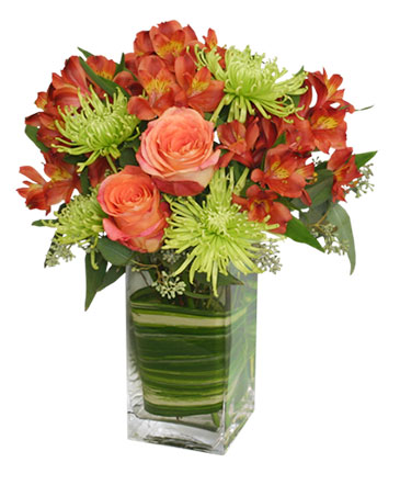 CONTEMPORARY AUTUMN Flowers in Cary, NC | GCG FLOWER & PLANT DESIGN