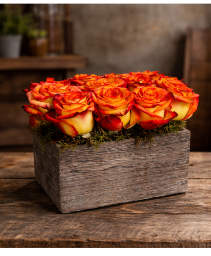 Contemporary Garden Garden of Roses Rose Arrangement