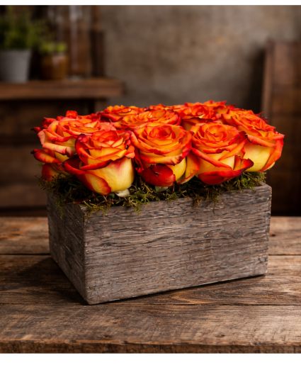 Contemporary Garden Garden of Roses Rose Arrangement