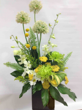 Contemporary in Green 3-Day Advance Order Lavish Collection