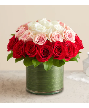 Contemporary Mix Roses 
