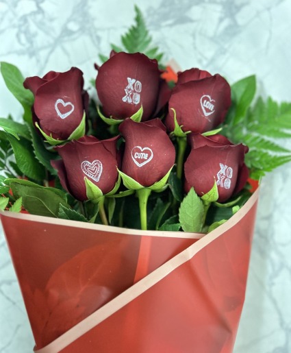 Conversation Red Roses Wrapped 