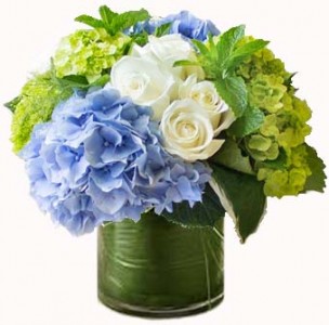 Cool Breezes Fresh Flowers