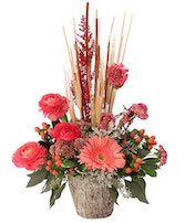 Coral Comforts Floral Arrangement