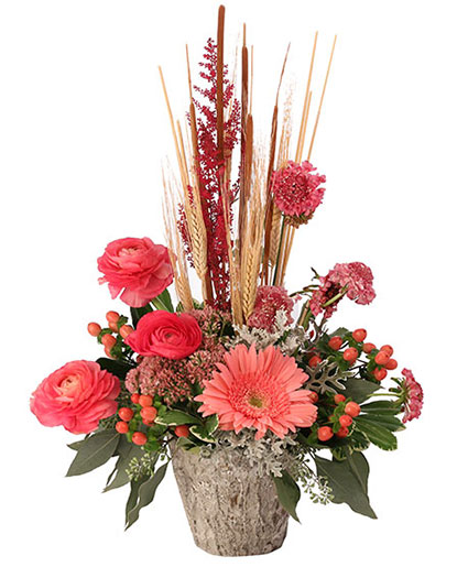 Coral Comforts Floral Arrangement