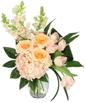 Coral Daydream Vase Arrangement in Wynne, AR | BACKSTREET FLORIST & GIFTS