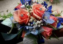 Coral Roses & Blue Delphinum Wrist Corsage
