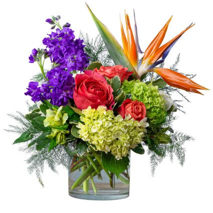 Coral Sunrise Arrangement 