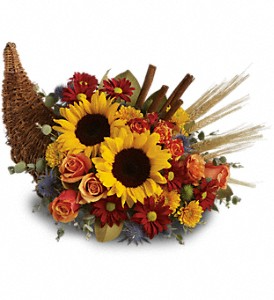 CORNUCOPIA FALL