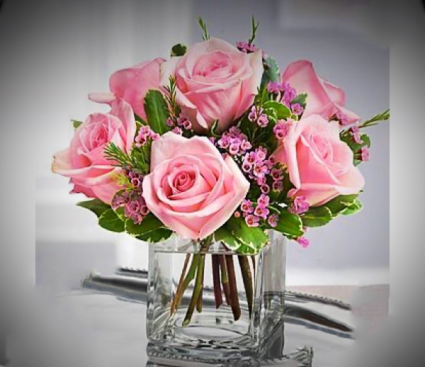 COTTON CANDY IN RED ONLY 1/2 doz of roses European style