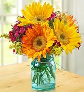 You Are The Sunshine of My Life! 